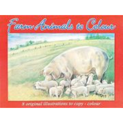 Advanced Animals To Colour Book - Pigs - 1015