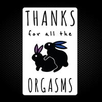 Thanks For All The Orgasms Vinyl Sticker – White, A2 (420x594mm)