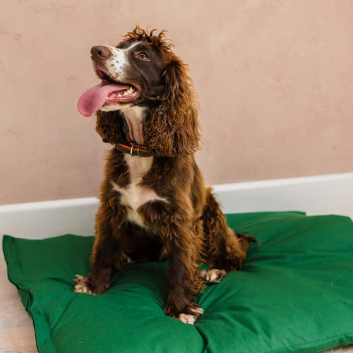 Dog Bed Duvet & Dog Bed Duvet Cover Sml/Med Polycotton Green - Small to medium