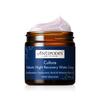 Image of Antipodes Culture Probiotic Night Recovery Water Cream 60ml