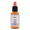 Image of Healing Herbs Ltd Oak - 30ml