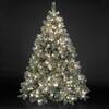 6ft "Pre-Lit" Frosted Emerald Fir Christmas Tree
