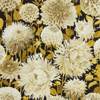 Harlequin Dahlia Wallpaper Fig Blossom / Nectar / Black Earth HQN2112846
