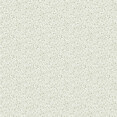 Little Explorers 2 Wallpaper Tiny Botanical Green Galerie 12370
