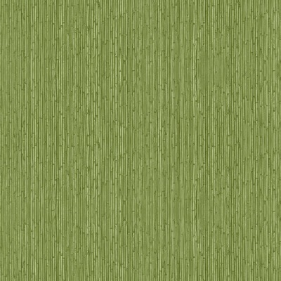 Into The Wild Bamboo Wallpaper Green Galerie 18575