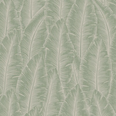 Palmeira Leaf Wallpaper Sage Grandeco A68503

