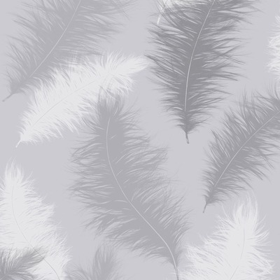 Sussurro Feather Wallpaper Grey Arthouse 901705
