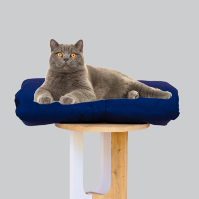 Cat Bed Mattress & Navy Cover - Cat Bedding Set – The Big Little Duvet Company