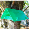 Codling Moth Pheromone Traps & Refills for Apples from Gardening Naturally