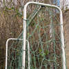 Aluminium Narrow Square Garden Hoops from Gardening Naturally