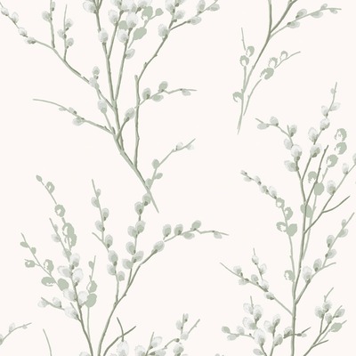 Laura Ashley Pussy Willow Wallpaper Sage Green / Cream 130115
