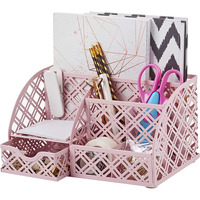 EXERZ Desk Organiser with 7 Compartments -Mesh Desk Tidy Caddy – Light Pink