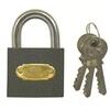 Image of Tri Circle Standard Shackle Padlock - Key to differ