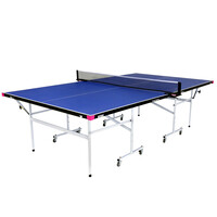 Butterfly Fitness Indoor Table Tennis Table