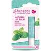 Image of Benecos Natural Lip Balm Mint 4.8g