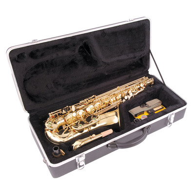 Odyssey Debut Alto Saxophone and Case