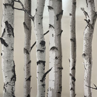 Image of Birch Trees Wallpaper Cream and Silver Fine Decor FD31051