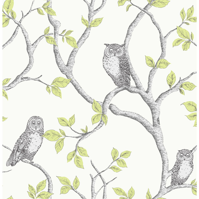 Woodland Owls Wallpaper Green Fine Decor FD40637