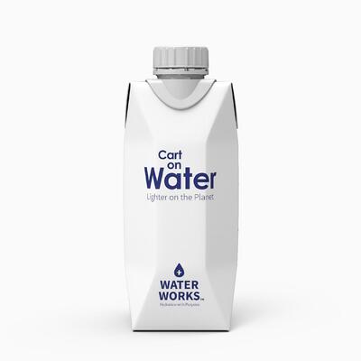 Water Works - Carton Water (330ml)