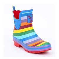 Image of Evercreatures Rainbow Meadow Ankle Wellies