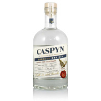 Image of Pocketful of Stones Caspyn Cornish Dry Gin