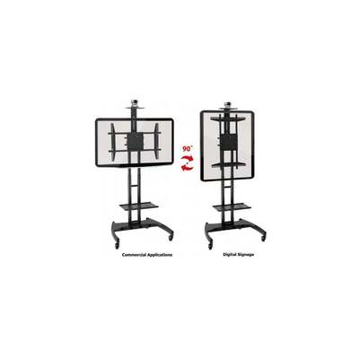 IBoard Horizontal / Vertical & Height Mobile Adjustable Stand (IBT