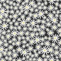 Image of Skinnydip Daisy Floral Wallpaper Black Muriva 180510