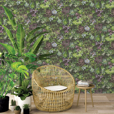 Evergreen Succulents Wallpaper Multicolour Galerie 7322