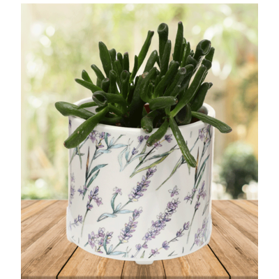 Lavender Indoor Planter - Ceramic Plant Pot