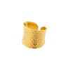 Nudo Gold Dotted Ring (adjustable)