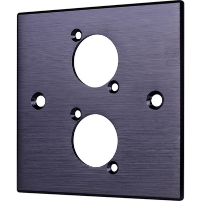 Black Wall Plate With D-Series Hole - 2 Gang