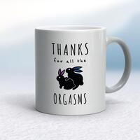 Thanks For All The Orgasms Mug – Silver, 10oz