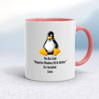 The Box Said Requires Windows 95 So I Installed Linux Mug – White/Pink, 10oz