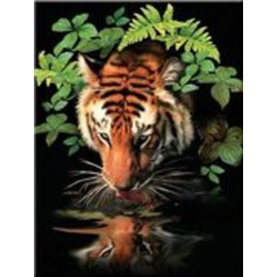 A4 Painting By Numbers Kit - Thirsty Tiger Pjs57