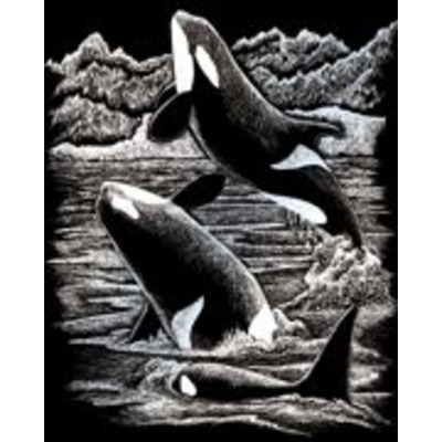 Orca Whales Silver Regular Size Engraving Art Scraperfoil