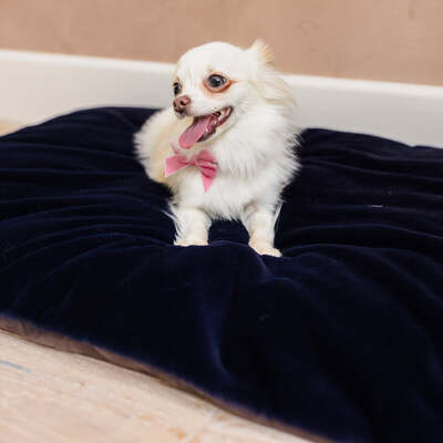 Dog Bed Duvet & Dog Bed Duvet Cover Sml/Med Faux Fur Blackberry - Small to medium – The Big Little Duvet Co.