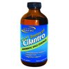 Image of North American Herb & Spice Essence of Cilantro 240ml
