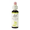 Image of Bach Flower Remedies Wild Rose 20ml
