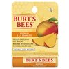 Image of Burts Bees Mango Lip Balm 4.25g