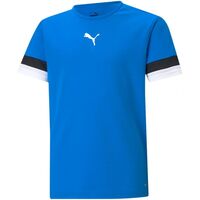 Image of Puma Junior TeamRise Jersey T-Shirt - Blue