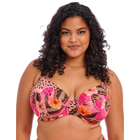 Image of Elomi Cabana Nights Plunge Bikini Top