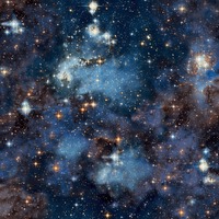 Image of Stardust Wallpaper Blue / Charcoal Arthouse 923901