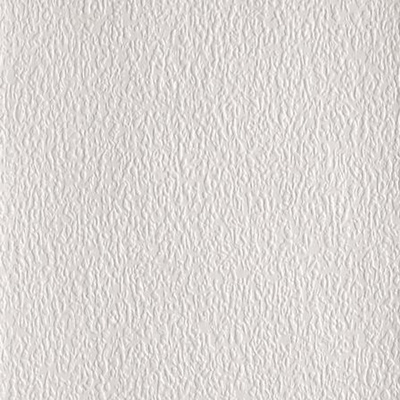Lace Bark Embossed Paintable Wallpaper Anaglypta RD181
