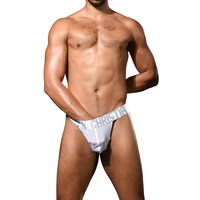 Andrew Christian Alpine Sheer Thong