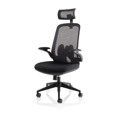 Sigma Executive Mesh Back Chair