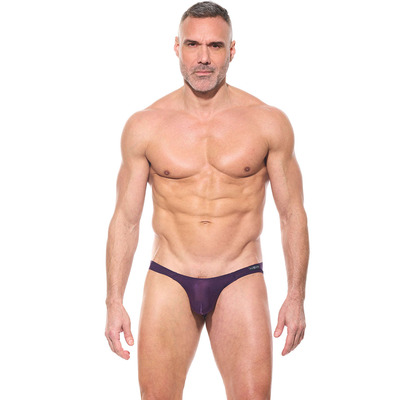Image of Gregg Homme Torridz Brief - Plum