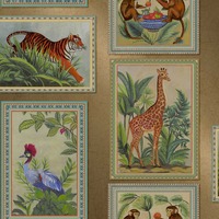 Tropical Frames Wallpaper Gold Holden 14270