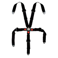 Image of Funbikes Shark 5 point safety harness seat belt