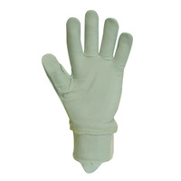 Image of Granite 5 Beta Gloves