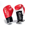Image of Carbon Claw PFG BX-7 Tigris Sondaica Fight Gloves